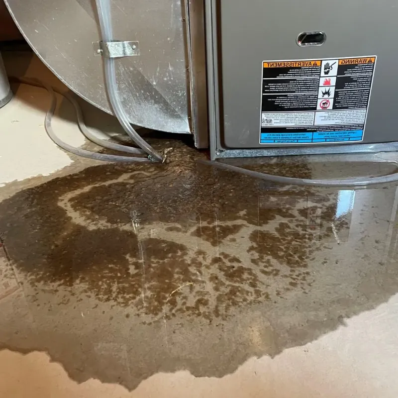 Pipe Burst and Leak Restoration in Middletown, KY