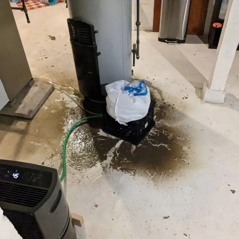 Sewage Backup Cleanup Service in Middletown, KY